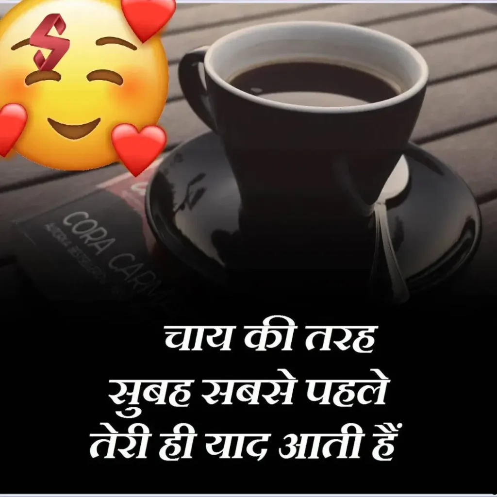 chai shayari funny_