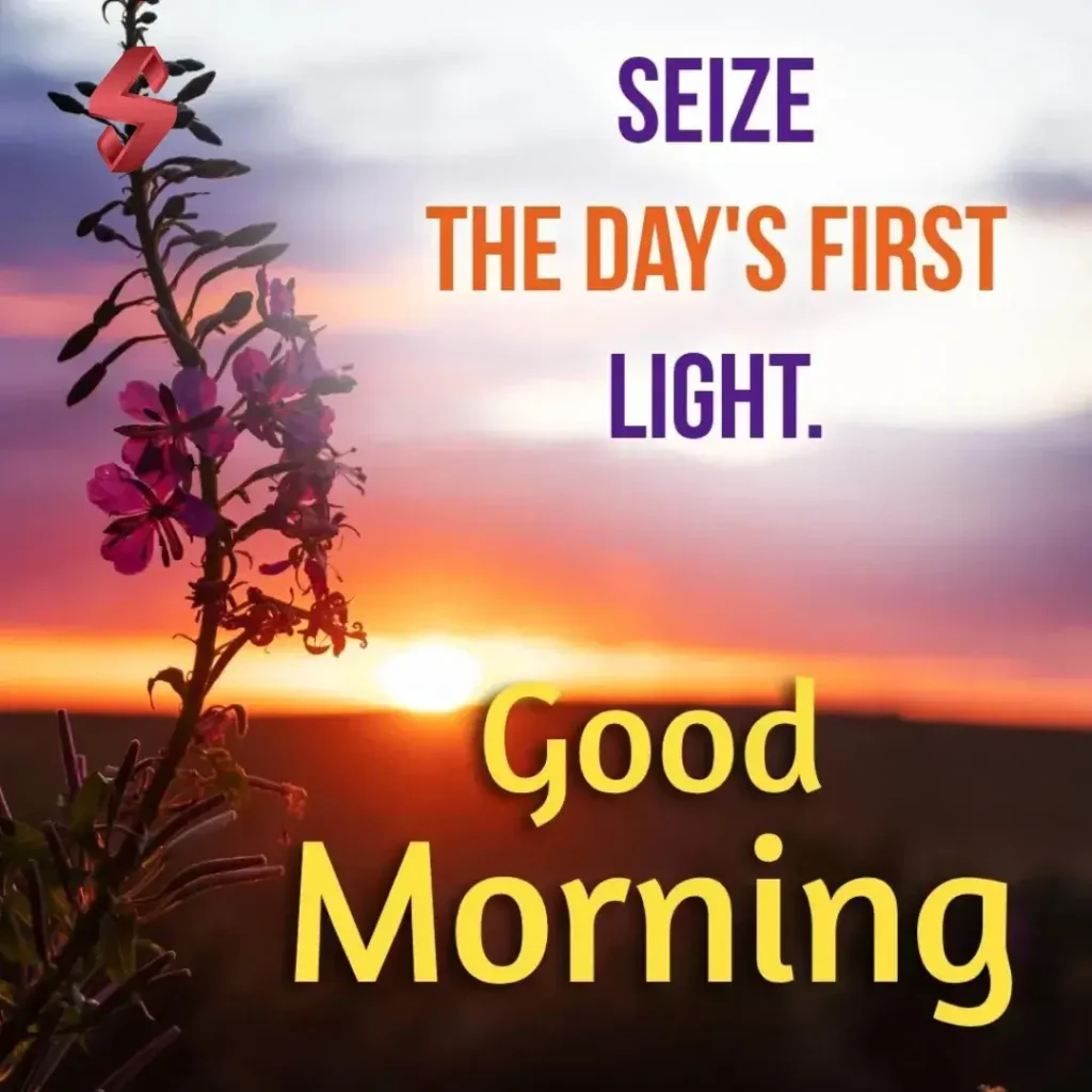 good morning shayari in english_