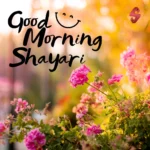Good Morning Shayari